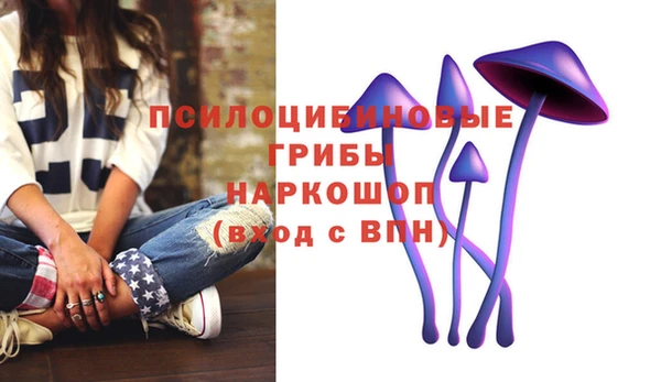 твердый Кукмор