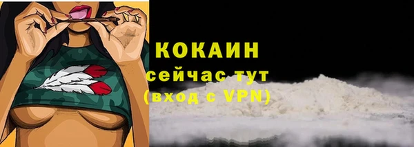 МДПВ Куйбышев