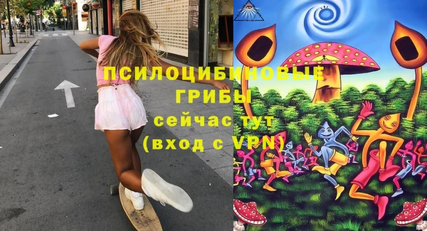 твердый Кукмор