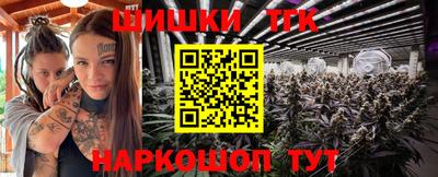 гашик Жуковский