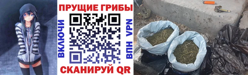 Псилоцибиновые грибы мухоморы купить наркотик Дятьково