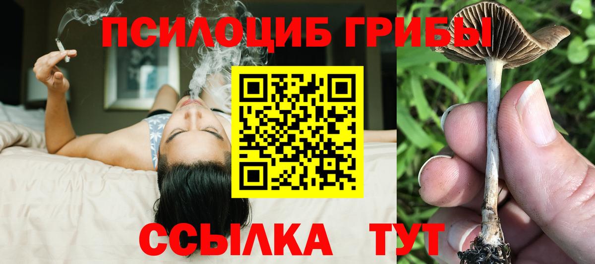 Галлюциногенные грибы мухоморы  Псилоцибиновые грибы ЛСД  Вход с VPN  Дятьково 