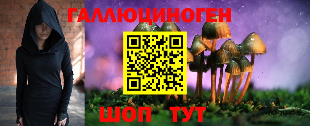 Галлюциногенные грибы Psilocybine cubensis Дятьково