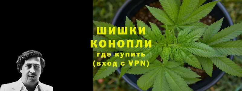 Конопля OG Kush  Дятьково 